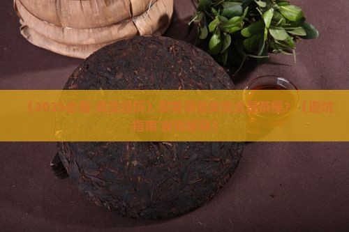 普洱茶里有很多茶梗