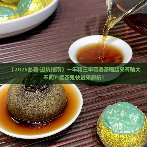 一年和三年普洱茶 一年和三年普洱茶