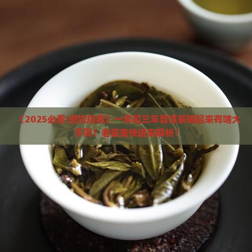 一年和三年普洱茶 一年和三年普洱茶
