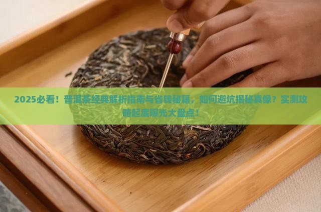 写普洱茶的经典
