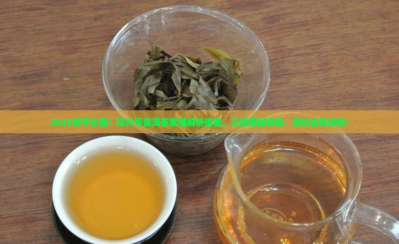 同兴号普洱茶紫雕