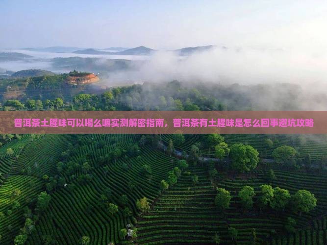 普洱茶土腥味可以喝么嘛
