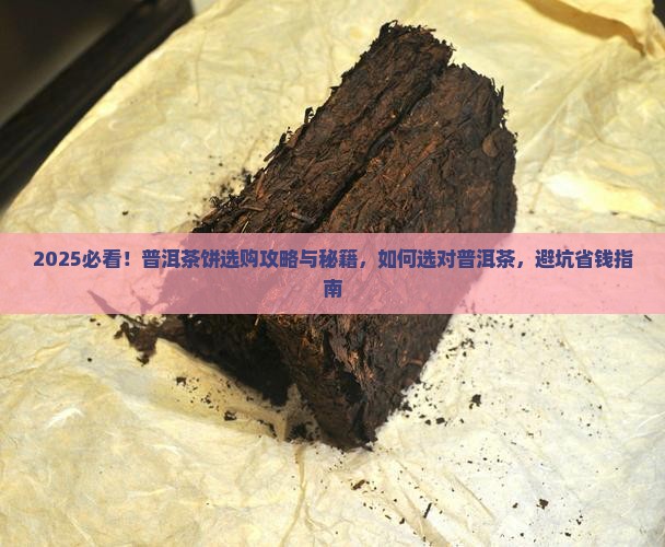 怎么选购买藏普洱茶饼