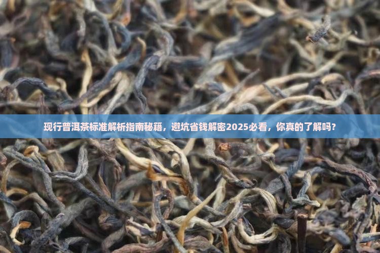 现行普洱茶标准