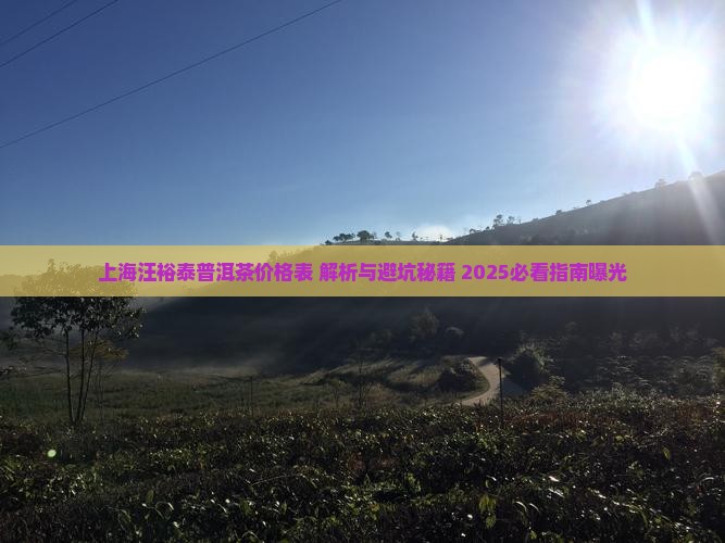 上海汪裕泰普洱茶价格表