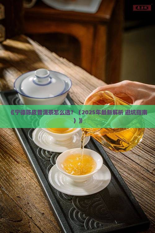 宁德陈皮普洱茶