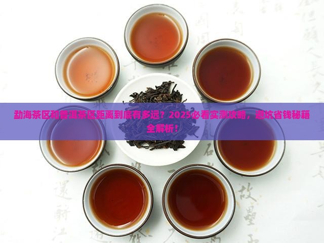 勐海茶区和普洱茶区距离