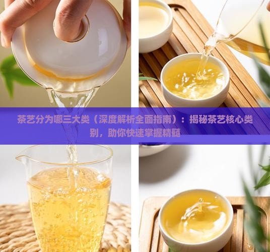 茶艺分为哪三大类