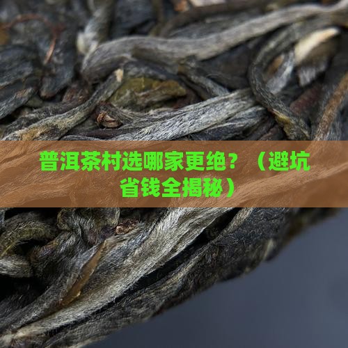 普洱茶村什么样的好