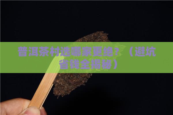 普洱茶村什么样的好