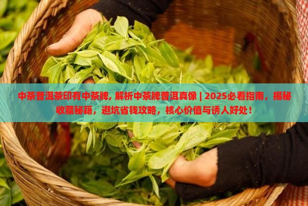 中茶普洱茶印有中茶牌 中茶普洱茶印有中茶牌