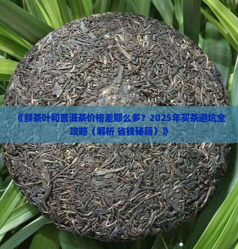 鲜茶叶普洱茶价格一样吗