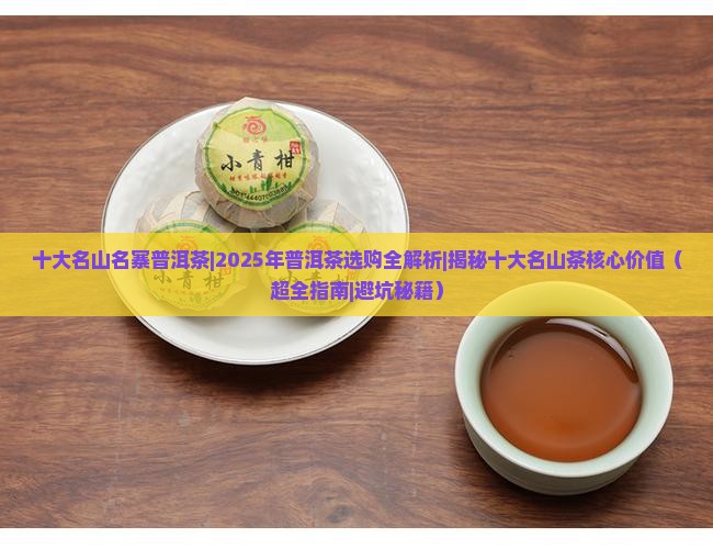 十大名山名寨普洱茶