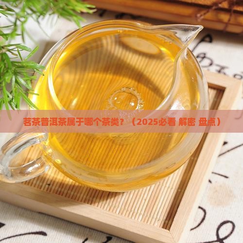 茗茶普洱茶属于