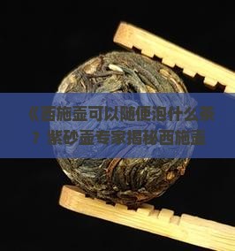 西施壶可以泡红茶吗