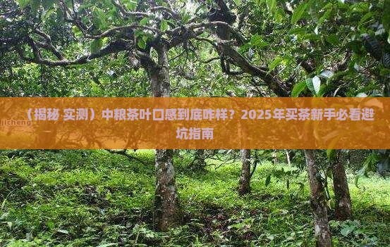 中粮的茶叶怎么样
