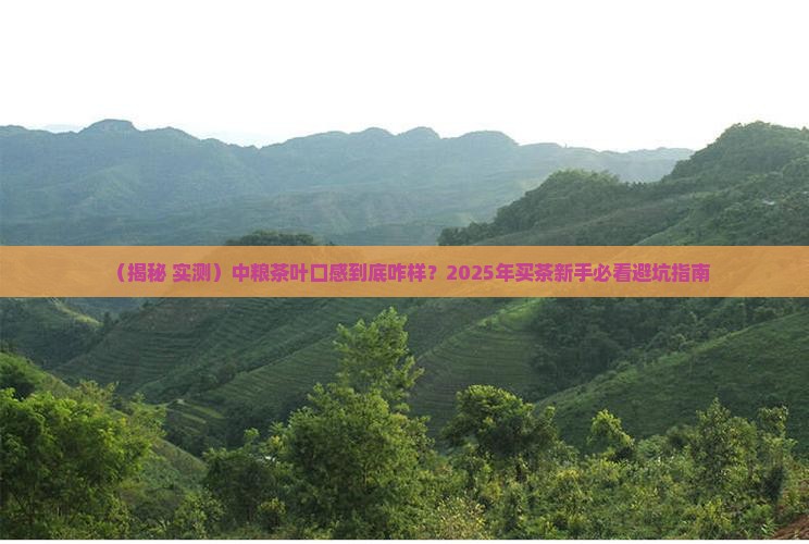 中粮的茶叶怎么样