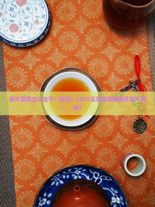 茶叶有虫还能喝吗