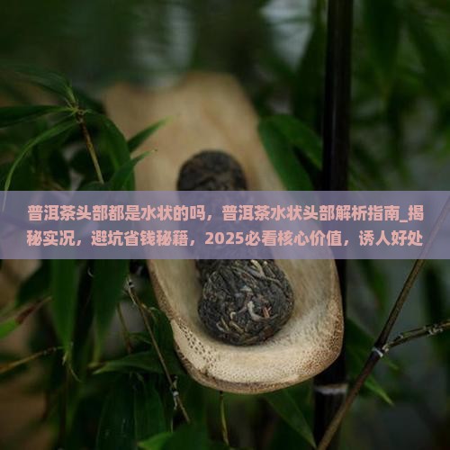 普洱茶头部都是水状的吗 普洱茶头部都是水状的吗
