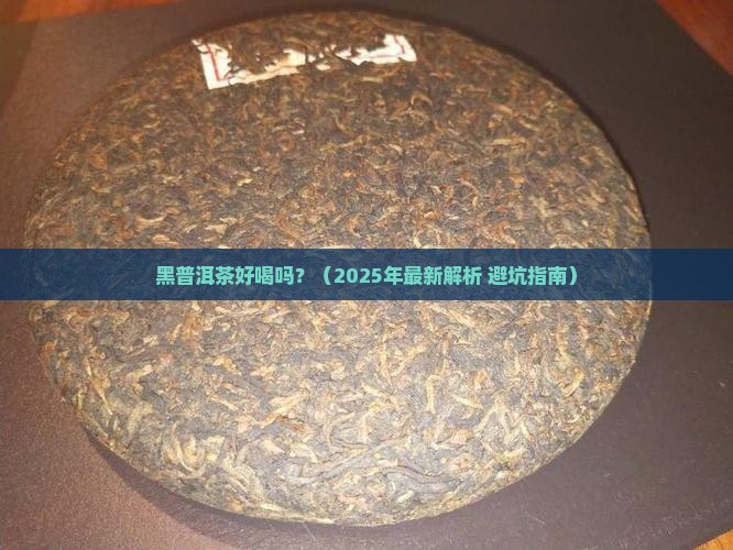 黑普洱茶好喝吗