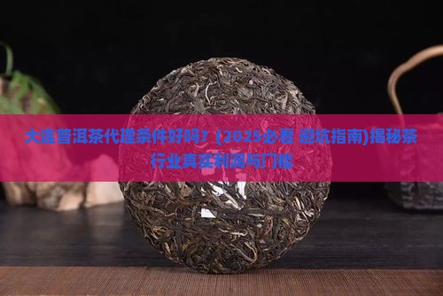 大连普洱茶代理条件好吗
