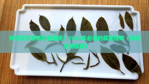 青柑普洱茶通便吗