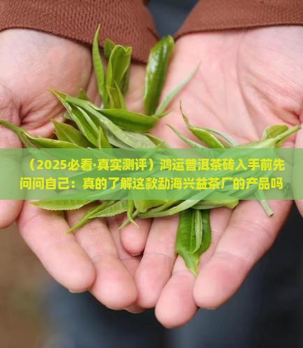 勐海兴益茶厂产品鸿运普洱茶砖