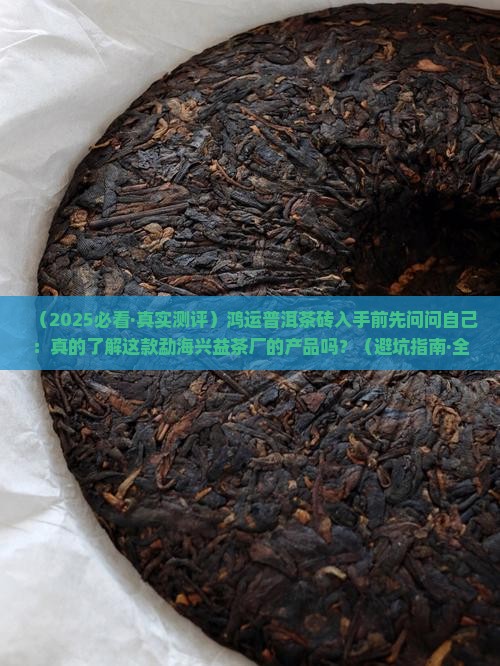 勐海兴益茶厂产品鸿运普洱茶砖