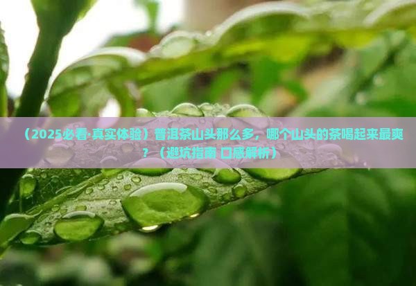 普洱茶的各大山头和口感