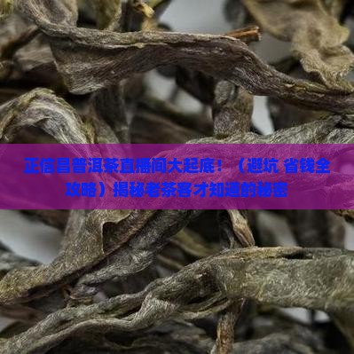 正信昌普洱茶直播间