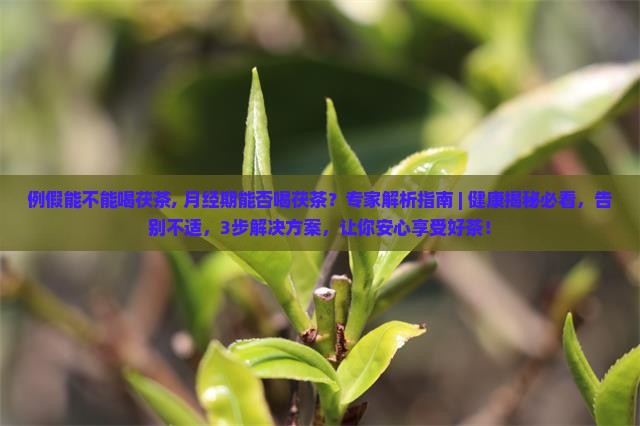 例假能不能喝茯茶 例假能不能喝茯茶