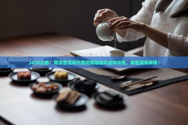 菏泽普洱茶代理招商电话