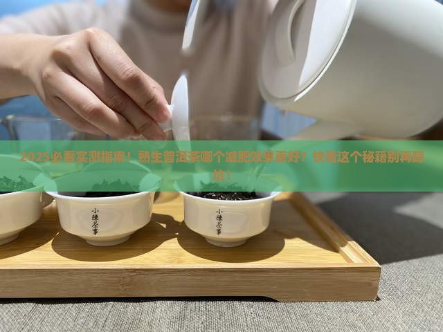熟生普洱茶哪个减肥效果好