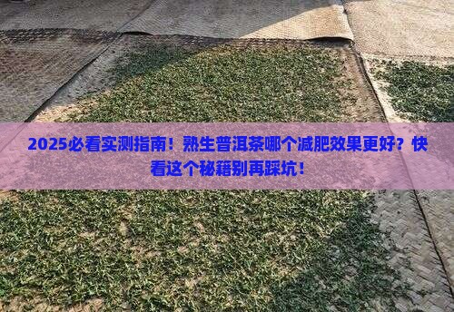 熟生普洱茶哪个减肥效果好