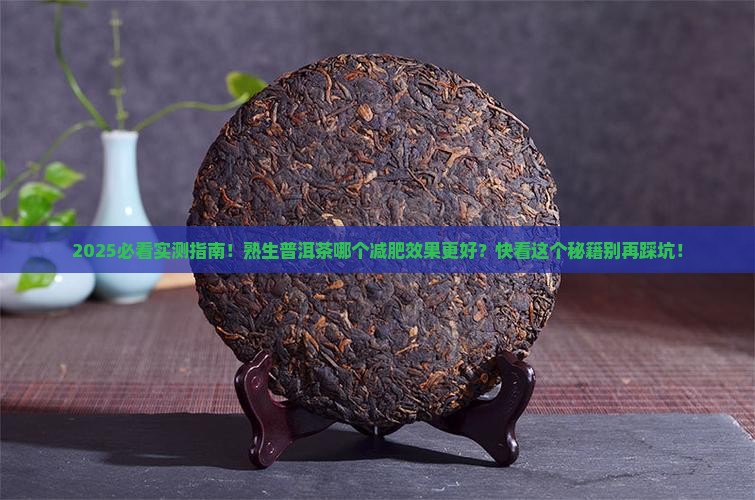 熟生普洱茶哪个减肥效果好