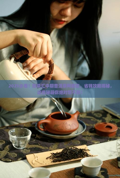 陈茶汇中期普洱茶网