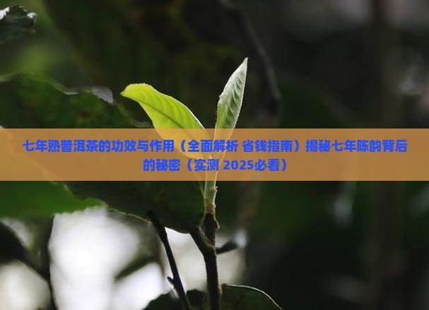 七年熟普洱茶的功效与作用