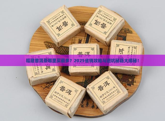 福建普洱茶上哪买的多一点