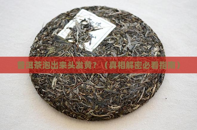 普洱茶头发黄正常吗
