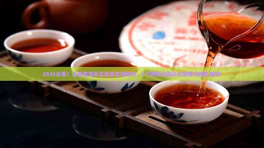 云南普洱茶王茶业