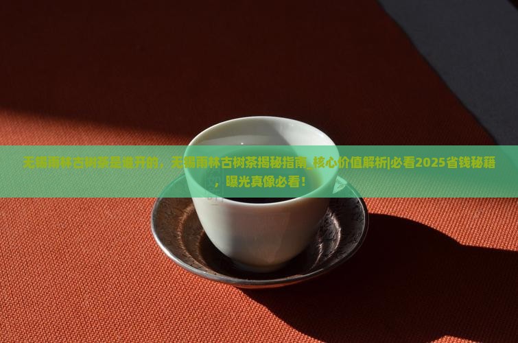 无锡雨林古树茶是谁开的