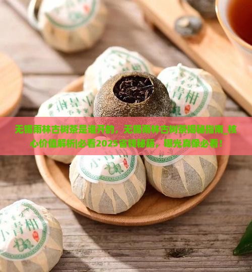 无锡雨林古树茶是谁开的