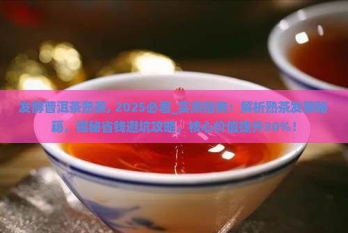 发酵普洱茶熟茶