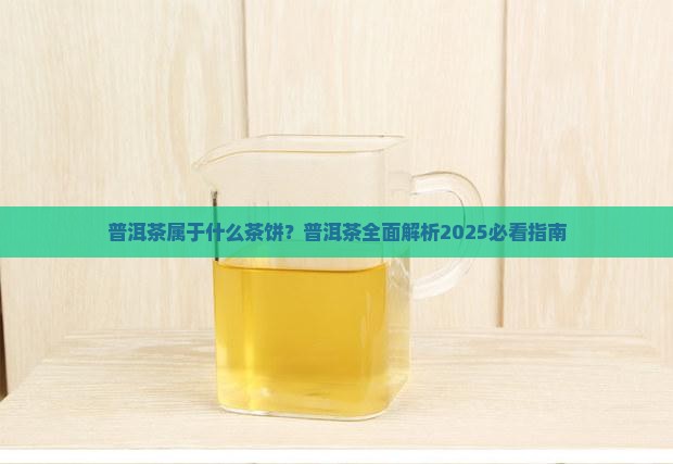 普洱茶属于什么茶饼 普洱茶属于什么茶饼