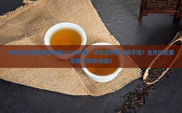 冰岛古树普洱茶的味道