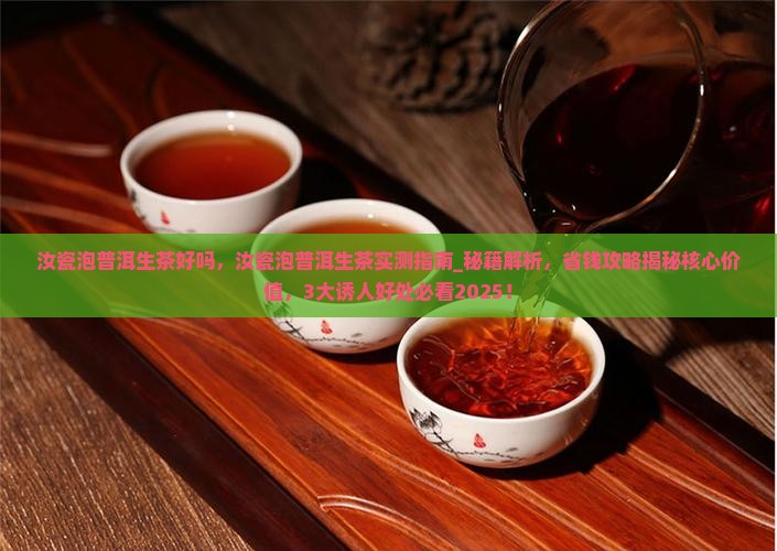 汝瓷泡普洱生茶好吗