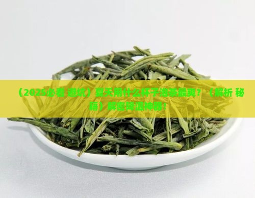夏天用什么杯子泡茶