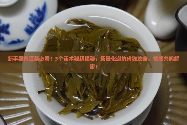 普洱茶说辞技巧