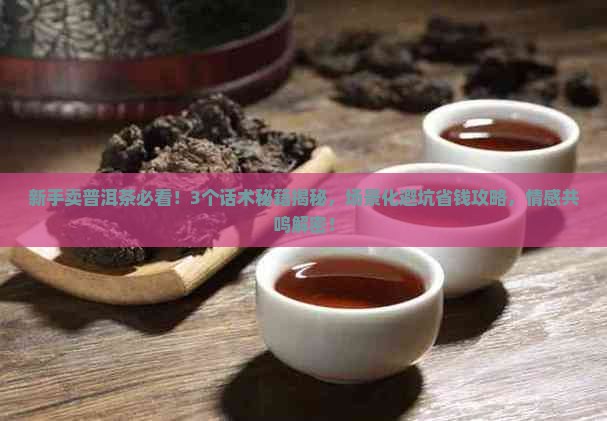 普洱茶说辞技巧