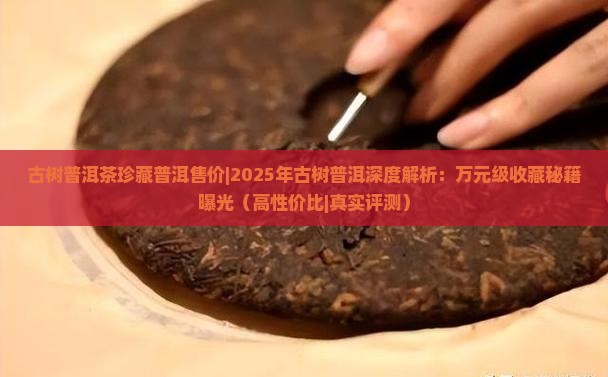 古树普洱茶珍藏普洱售价
